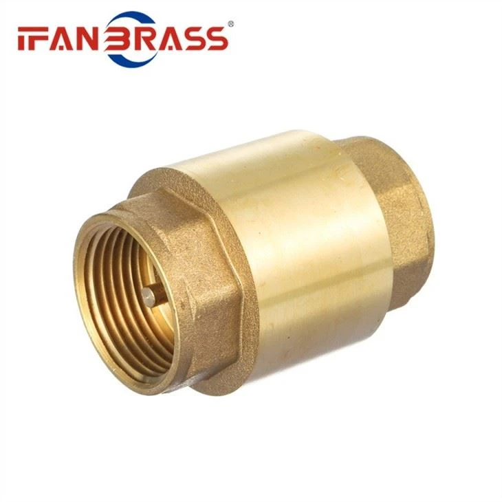 Check Valve