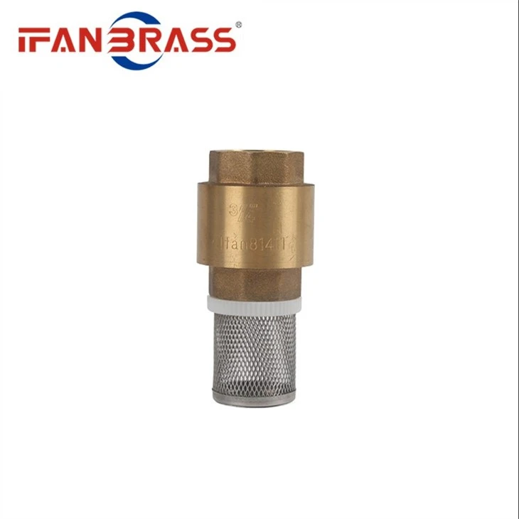 ball check valve