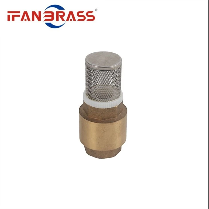 brass ball check valve