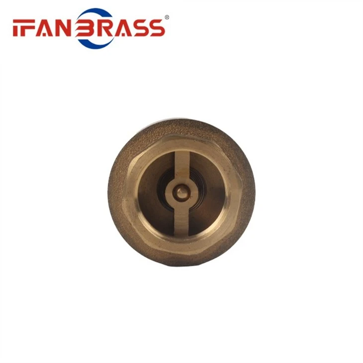 check valve brass