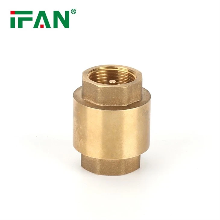 brass non return valve
